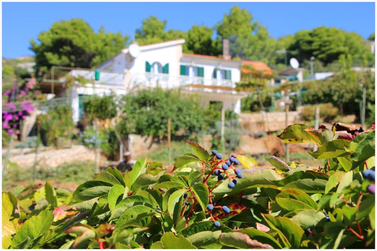 Apartment Katarina And House Marieta Dolac ภายนอก รูปภาพ